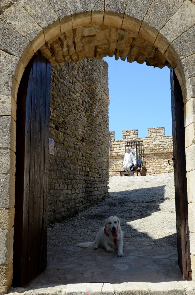 La chienne Plouf a bien chaud